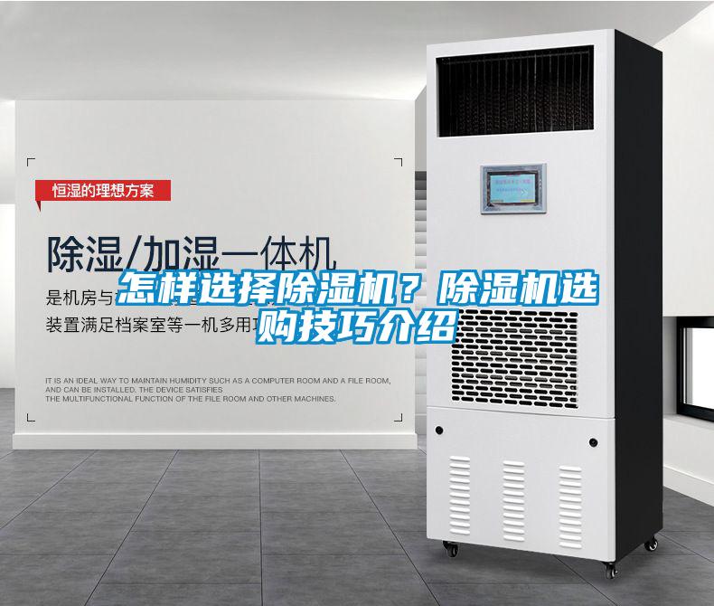 怎樣選擇除濕機？除濕機選購技巧介紹