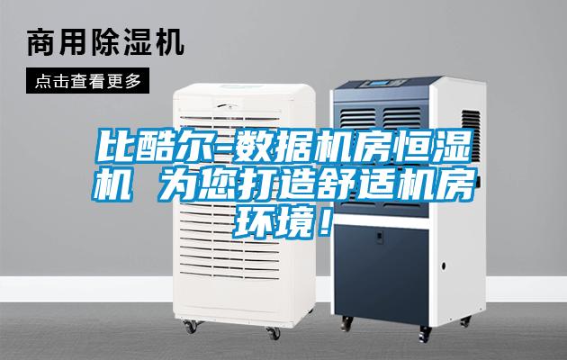 比酷爾-數(shù)據(jù)機房恒濕機 為您打造舒適機房環(huán)境！