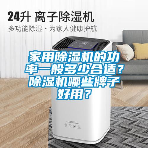 家用除濕機的功率一般多少合適？除濕機哪些牌子好用？