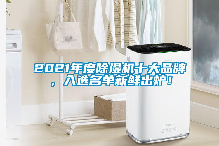 2021年度除濕機十大品牌，入選名單新鮮出爐！