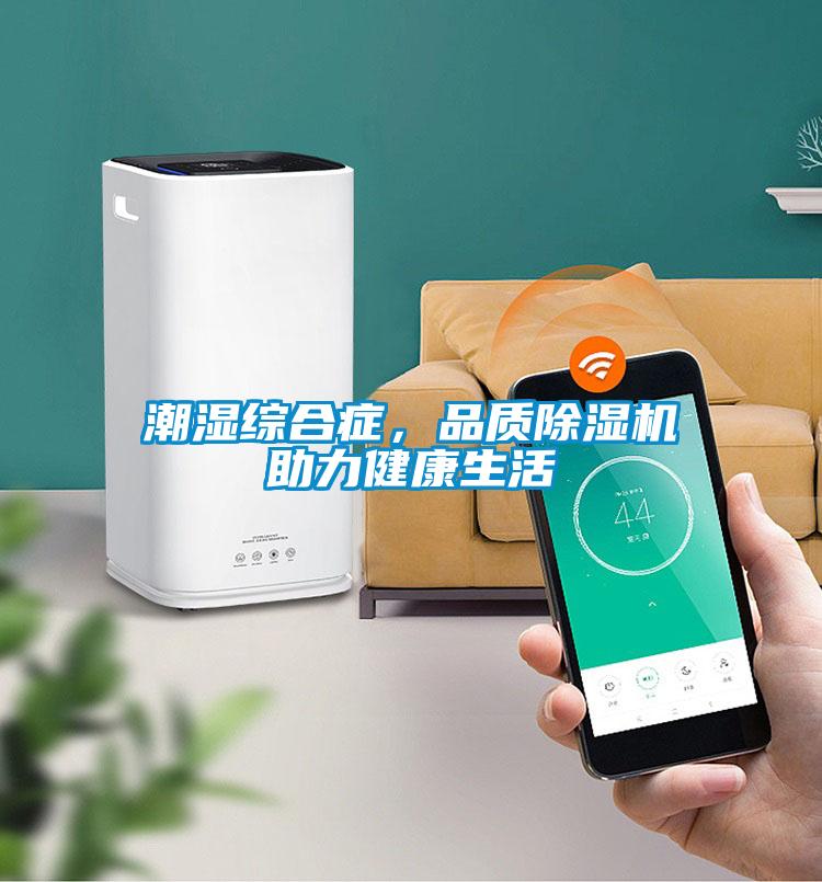 潮濕綜合癥，品質(zhì)除濕機(jī)助力健康生活