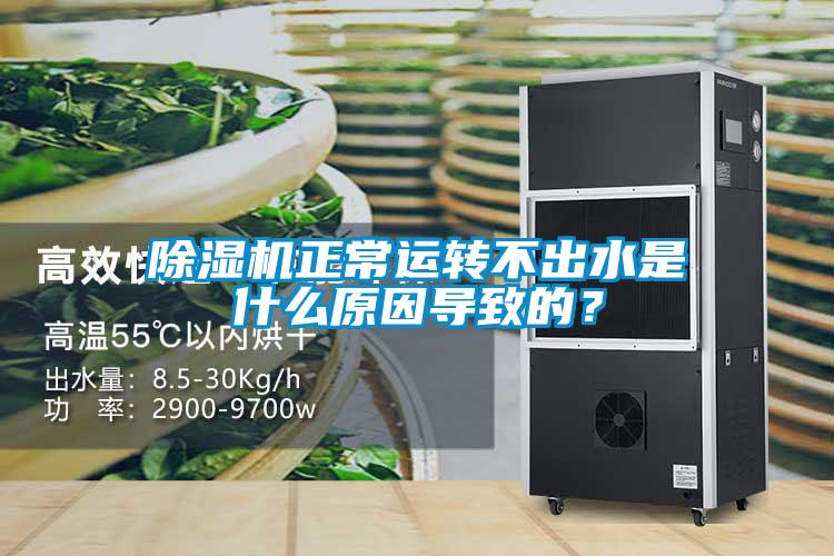 除濕機正常運轉不出水是什么原因導致的？