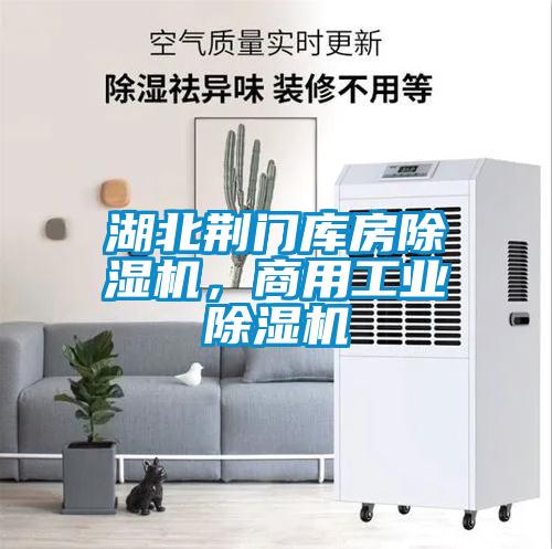 湖北荊門庫房除濕機，商用工業除濕機