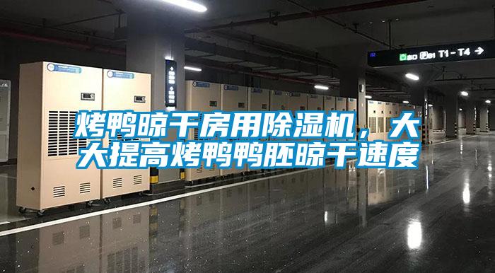 烤鴨晾干房用除濕機，大大提高烤鴨鴨胚晾干速度