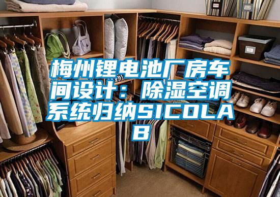 梅州鋰電池廠房車(chē)間設(shè)計(jì)：除濕空調(diào)系統(tǒng)歸納SICOLAB
