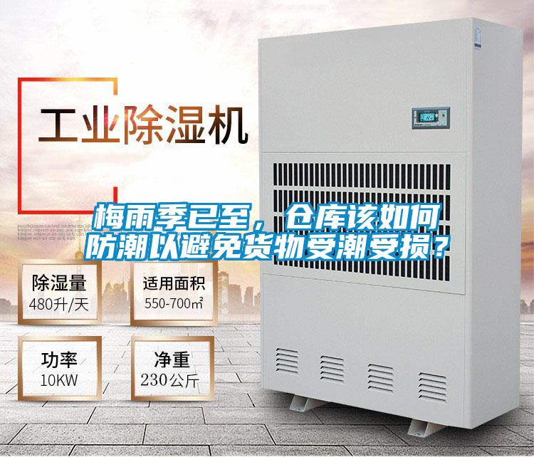 梅雨季已至，倉庫該如何防潮以避免貨物受潮受損？