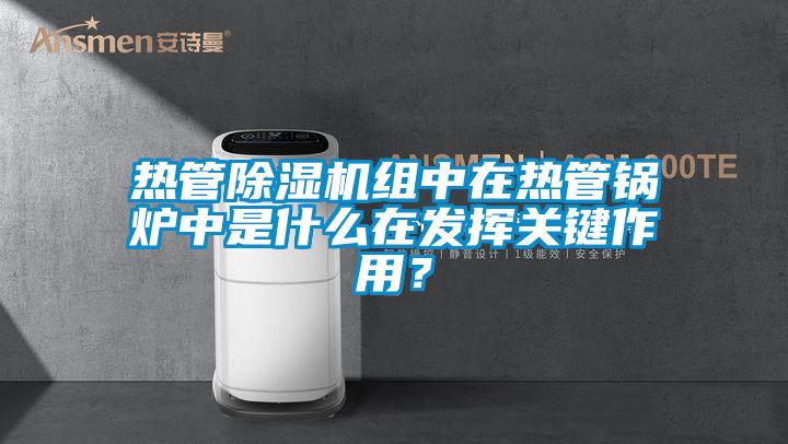 熱管除濕機(jī)組中在熱管鍋爐中是什么在發(fā)揮關(guān)鍵作用？