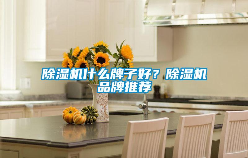 除濕機什么牌子好？除濕機品牌推薦