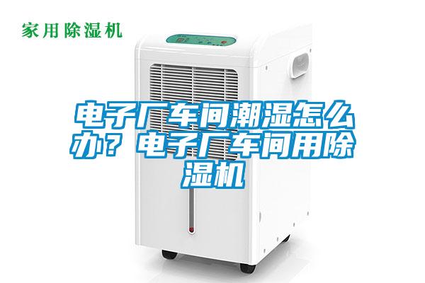 電子廠車間潮濕怎么辦？電子廠車間用除濕機