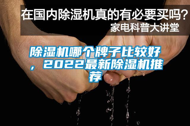 除濕機哪個牌子比較好，2022最新除濕機推薦