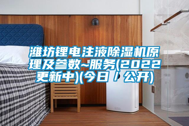 濰坊鋰電注液除濕機原理及參數(shù)~服務(wù)(2022更新中)(今日／公開)