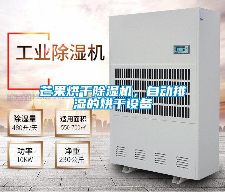 芒果烘干除濕機，自動排濕的烘干設備