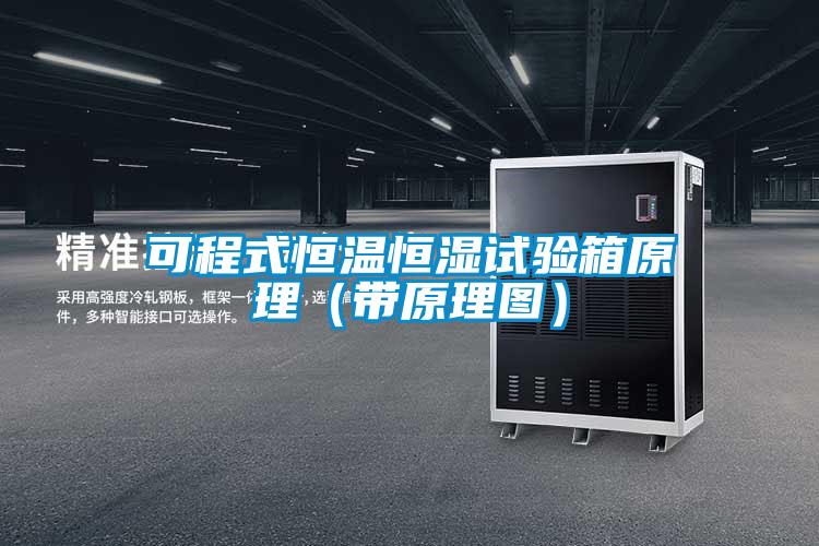 可程式恒溫恒濕試驗箱原理(帶原理圖)