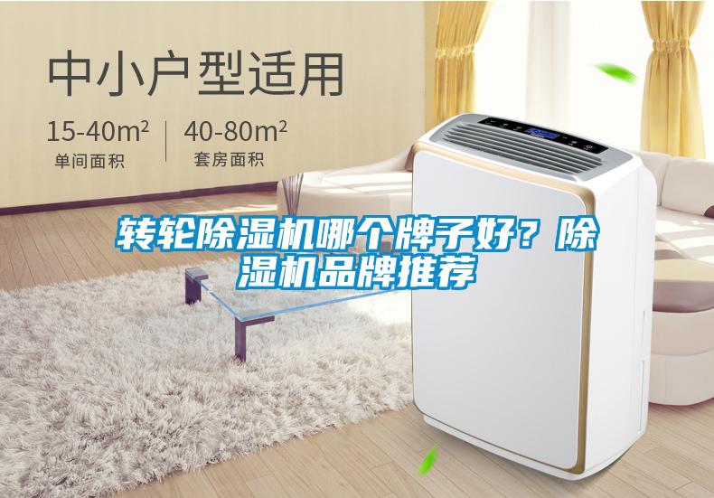 轉輪除濕機哪個牌子好？除濕機品牌推薦
