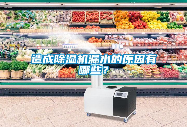 造成除濕機漏水的原因有哪些？