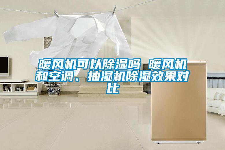暖風(fēng)機可以除濕嗎 暖風(fēng)機和空調(diào)、抽濕機除濕效果對比