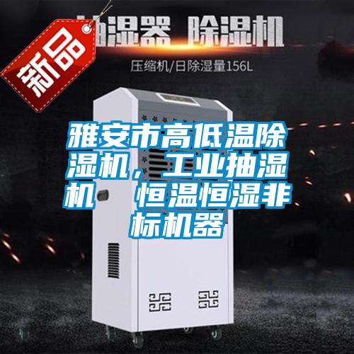 雅安市高低溫除濕機，工業抽濕機  恒溫恒濕非標機器