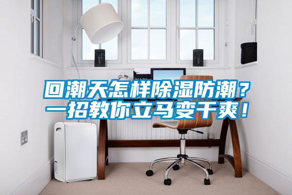 回潮天怎樣除濕防潮？一招教你立馬變干爽！