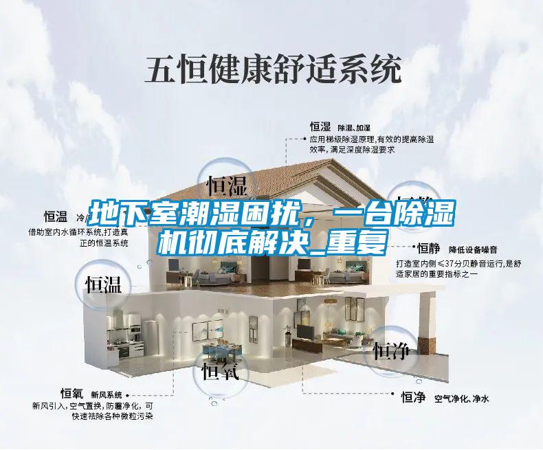 地下室潮濕困擾，一臺除濕機徹底解決_重復