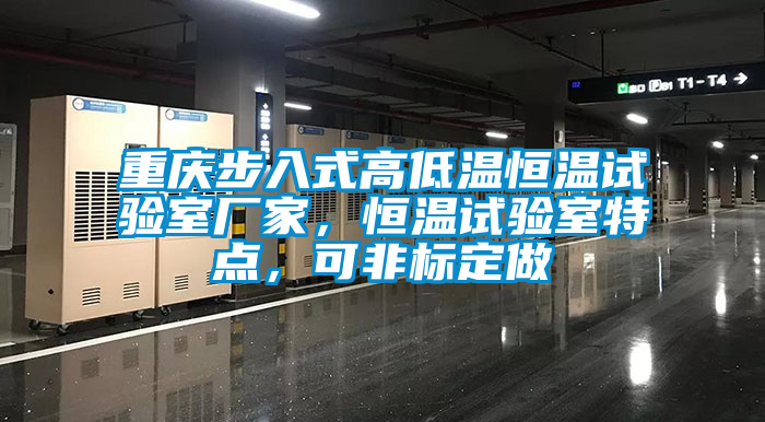 重慶步入式高低溫恒溫試驗室廠家，恒溫試驗室特點，可非標(biāo)定做