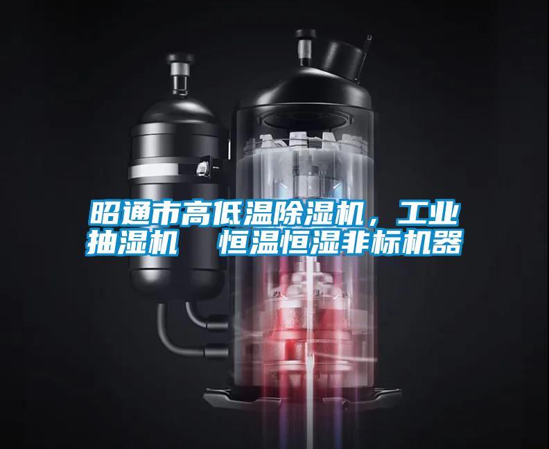 昭通市高低溫除濕機，工業(yè)抽濕機  恒溫恒濕非標機器