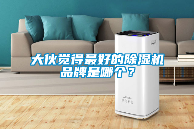 大伙覺得最好的除濕機品牌是哪個？