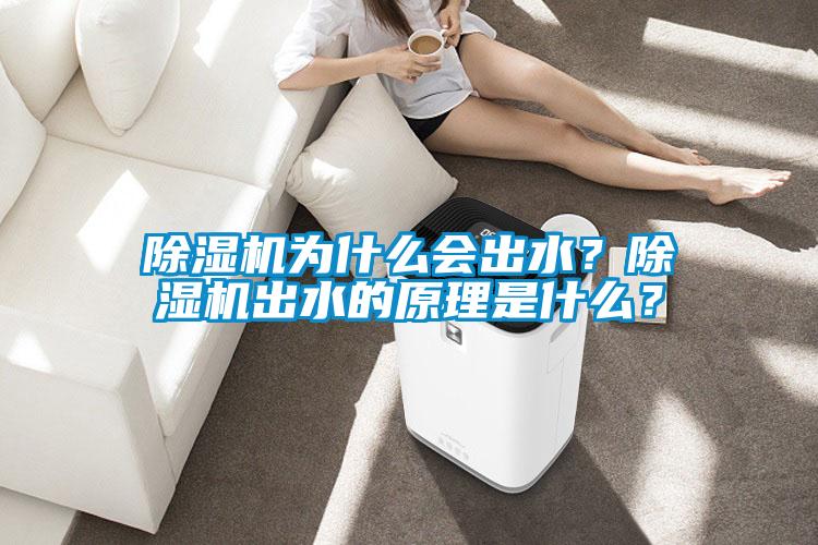 除濕機(jī)為什么會(huì)出水？除濕機(jī)出水的原理是什么？