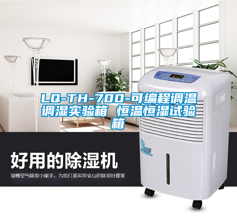LQ-TH-700-可編程調(diào)溫調(diào)濕實驗箱 恒溫恒濕試驗箱