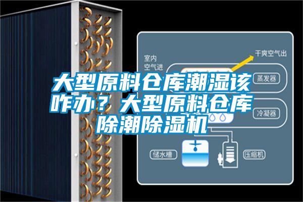 大型原料倉庫潮濕該咋辦？大型原料倉庫除潮除濕機