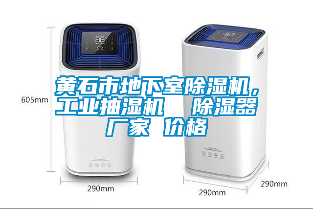 黃石市地下室除濕機(jī)，工業(yè)抽濕機(jī)  除濕器廠家 價格