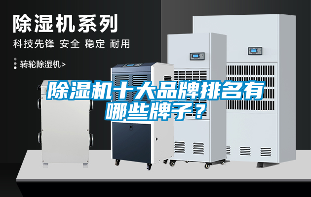 除濕機十大品牌排名有哪些牌子？