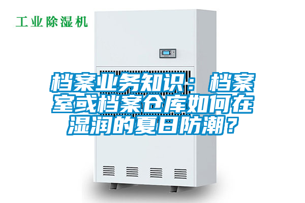 檔案業務知識：檔案室或檔案倉庫如何在濕潤的夏日防潮？