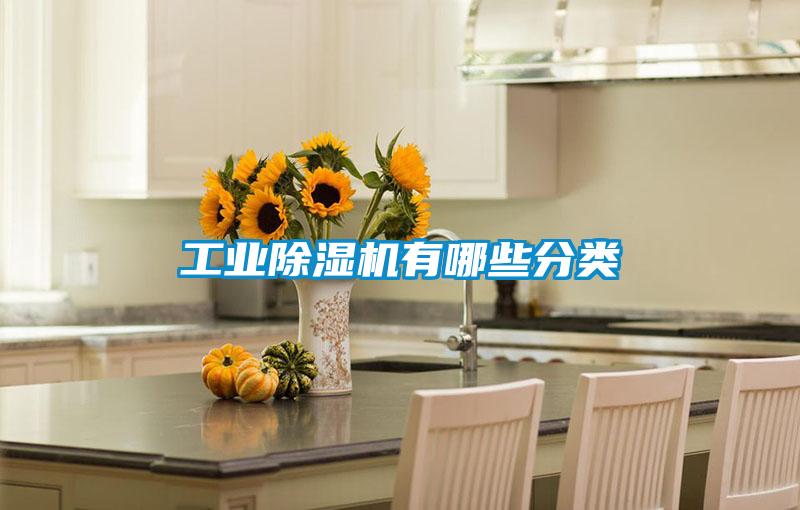工業(yè)除濕機(jī)有哪些分類(lèi)