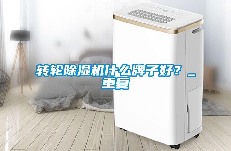 轉(zhuǎn)輪除濕機什么牌子好？_重復