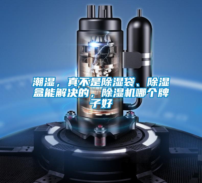 潮濕，真不是除濕袋、除濕盒能解決的，除濕機哪個牌子好