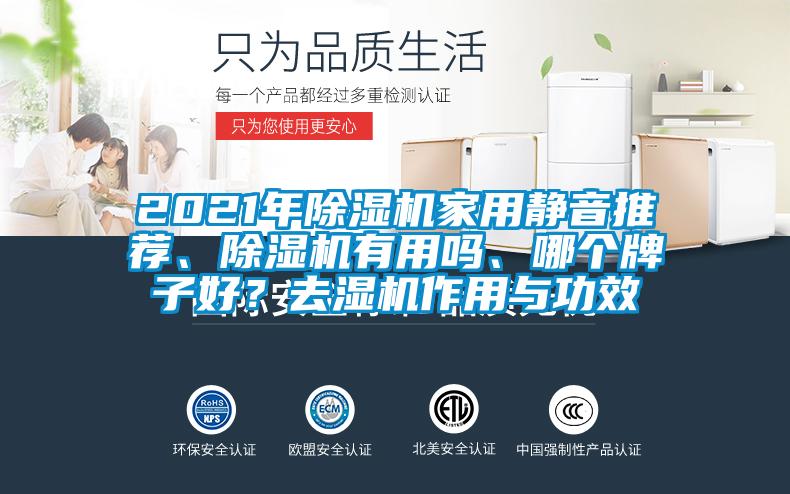 2021年除濕機家用靜音推薦、除濕機有用嗎、哪個牌子好？去濕機作用與功效