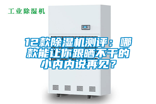 12款除濕機測評：哪款能讓你跟曬不干的小內內說再見？