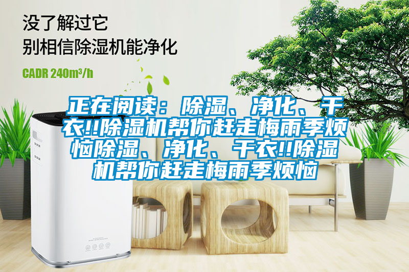 正在閱讀：除濕、凈化、干衣!!除濕機幫你趕走梅雨季煩惱除濕、凈化、干衣!!除濕機幫你趕走梅雨季煩惱
