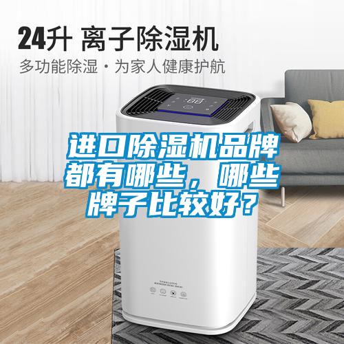 進口除濕機品牌都有哪些，哪些牌子比較好？