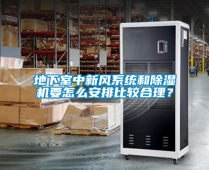 地下室中新風(fēng)系統(tǒng)和除濕機(jī)要怎么安排比較合理？