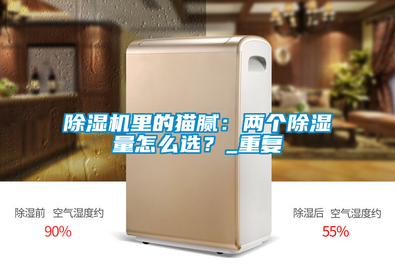 除濕機(jī)里的貓膩：兩個(gè)除濕量怎么選？_重復(fù)
