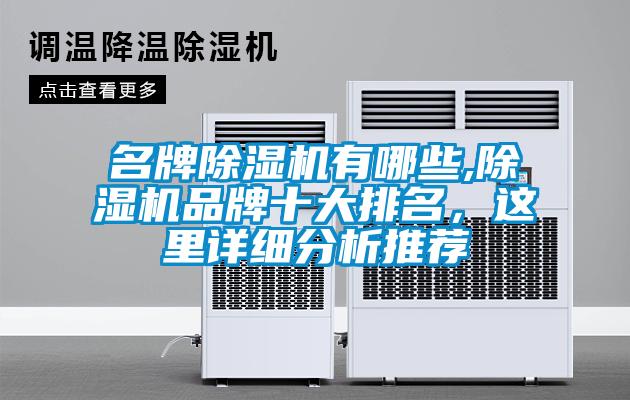 名牌除濕機(jī)有哪些,除濕機(jī)品牌十大排名，這里詳細(xì)分析推薦