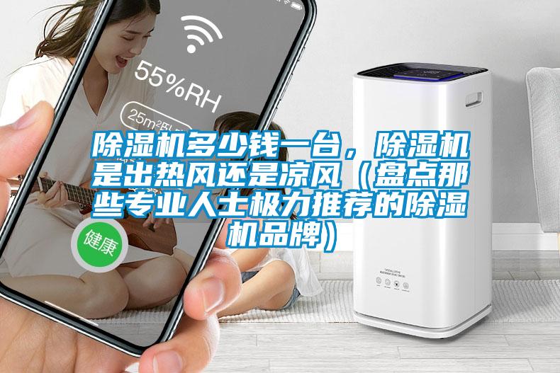 除濕機多少錢一臺，除濕機是出熱風還是涼風（盤點那些專業人士極力推薦的除濕機品牌）