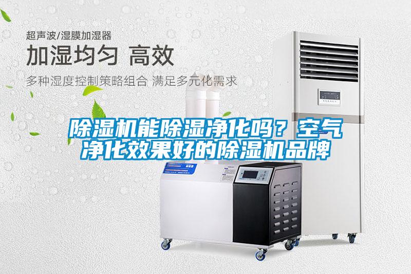除濕機能除濕凈化嗎？空氣凈化效果好的除濕機品牌
