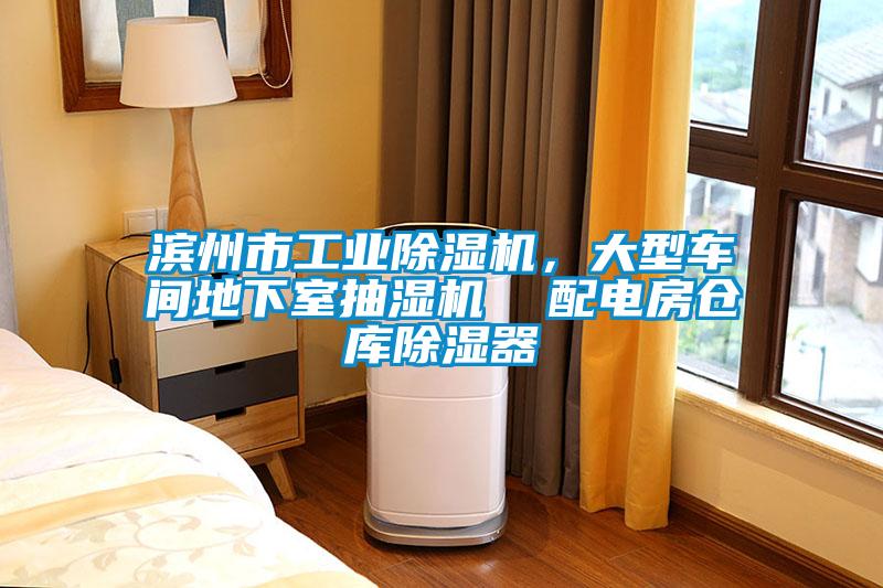 濱州市工業除濕機，大型車間地下室抽濕機  配電房倉庫除濕器