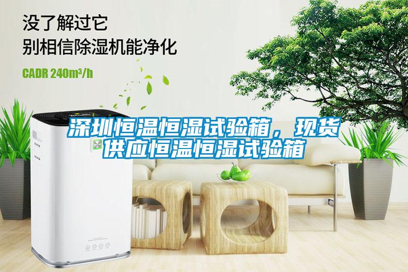 深圳恒溫恒濕試驗箱，現(xiàn)貨供應(yīng)恒溫恒濕試驗箱