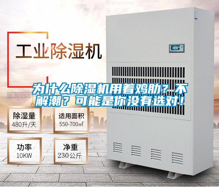為什么除濕機用著雞肋？不解潮？可能是你沒有選對！