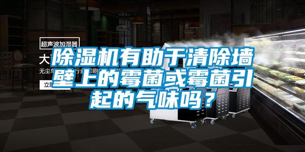 除濕機(jī)有助于清除墻壁上的霉菌或霉菌引起的氣味嗎？