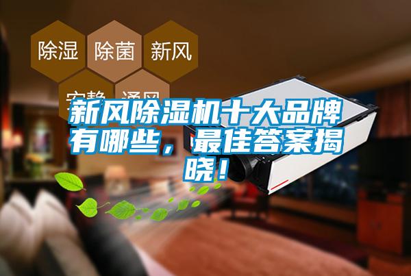 新風除濕機十大品牌有哪些，最佳答案揭曉！
