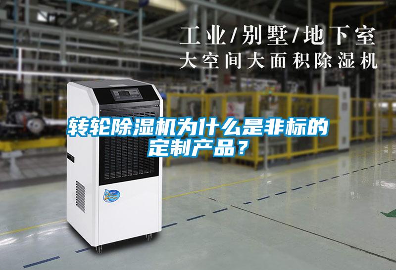 轉輪除濕機為什么是非標的定制產品？